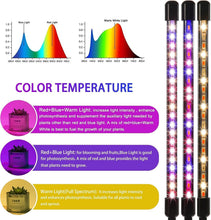 Load image into Gallery viewer, Grow Light for Indoor Plants - Upgraded Version 80 LED Lamps with Full Spectrum &amp; Red Blue Spectrum, 3/9/12H Timer, 10 Dimmable Level, Adjustable Gooseneck,3 Switch Modes